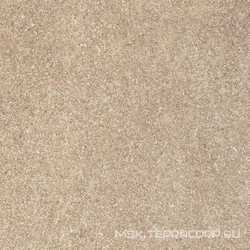 City Noce XX |44.7x44.7