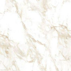 Venato Gold 6060 XX |60x60