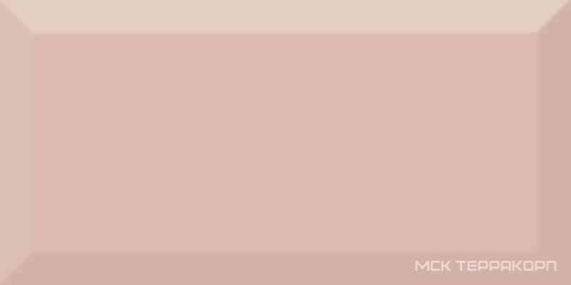 Monocolor Salmon Biselado Brillo ZZ 10x20