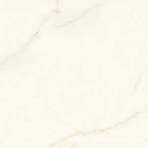 Керамогранит для пола и стены Atlas Concorde Italy Marvel X Marvel Calacatta Apuano Silk 120x120 AFVJ