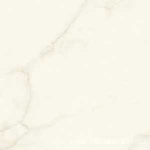 Керамогранит для пола и стены Atlas Concorde Italy Marvel X Marvel Calacatta Apuano Silk 120x120 AFVJ