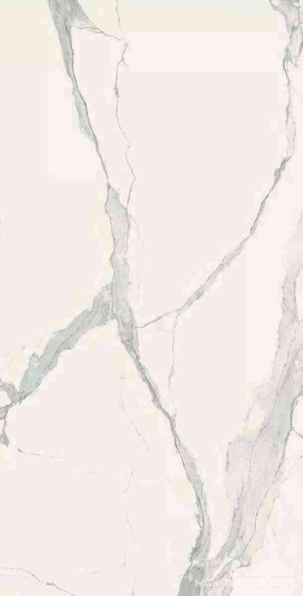 Statuario Glossy 160x320
