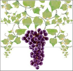 Composicion Grapes 03 B ZZ |30x30