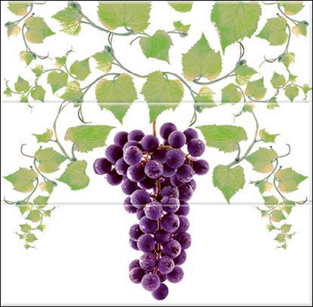 Composicion Grapes 03 B ZZ |30x30