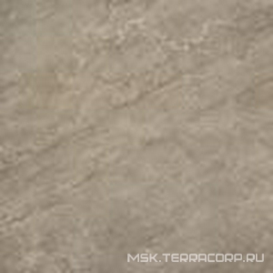 Керамогранит для пола и стены Imola Muse  60BG ZZ60x60 149440