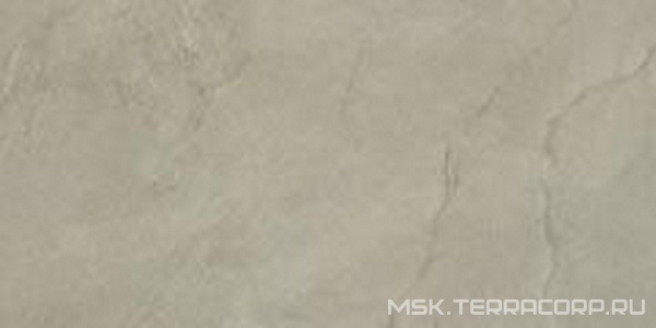 Керамогранит для пола Imola muse  12G 60x120 Серый 149438