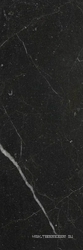 Genus GNS 27N RM (п.п.) ZZ |25x75