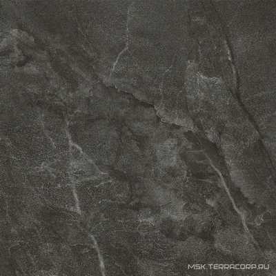 Muse 60DG LP ZZ|60x60