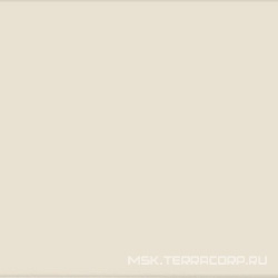 Time Beige XX |41.5x41.5