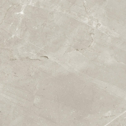 Milord Gris NPlus ZZ |90x90