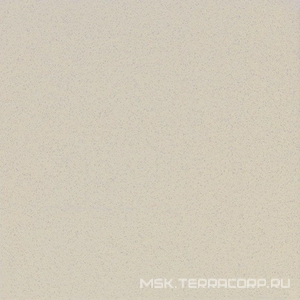 Керамогранит для пола Estima technica standard Гранит Technica standart 12мм ST 117 ZZ30x30 Бежевый ST 117