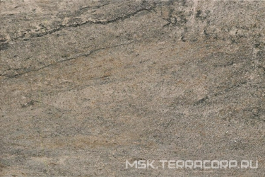 Oyster Gris XX |40x60