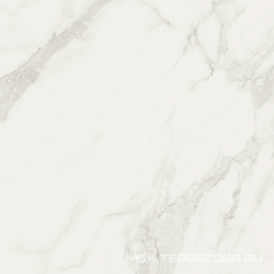 Bianco Statuario Matt rett (п.п) ZZ |60x60
