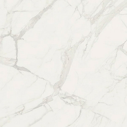 Bianco Statuario Ret (п.п.)ZZ |74x74
