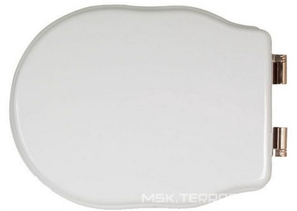 Сиденье для НАПОЛЬНОГО унитаза, с микролифтом, (орех, петли цв. бронза),  ZZ TW Collection Bristol TWBR76noce/br