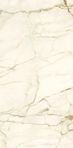 Керамогранит для пола и стены Ariostea Marmi Classici Calacatta Macchia Vecchia Luc 60x120 PL612575