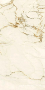 Керамогранит для пола и стены Ariostea Marmi Classici Calacatta Macchia Vecchia Luc 60x120 PL612575