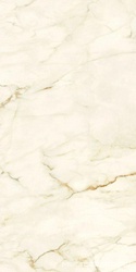 Calacatta Macchia Vecchia Luc |60x120