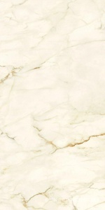 Керамогранит для пола и стены Ariostea Marmi Classici Calacatta Macchia Vecchia Luc 60x120 PL612575