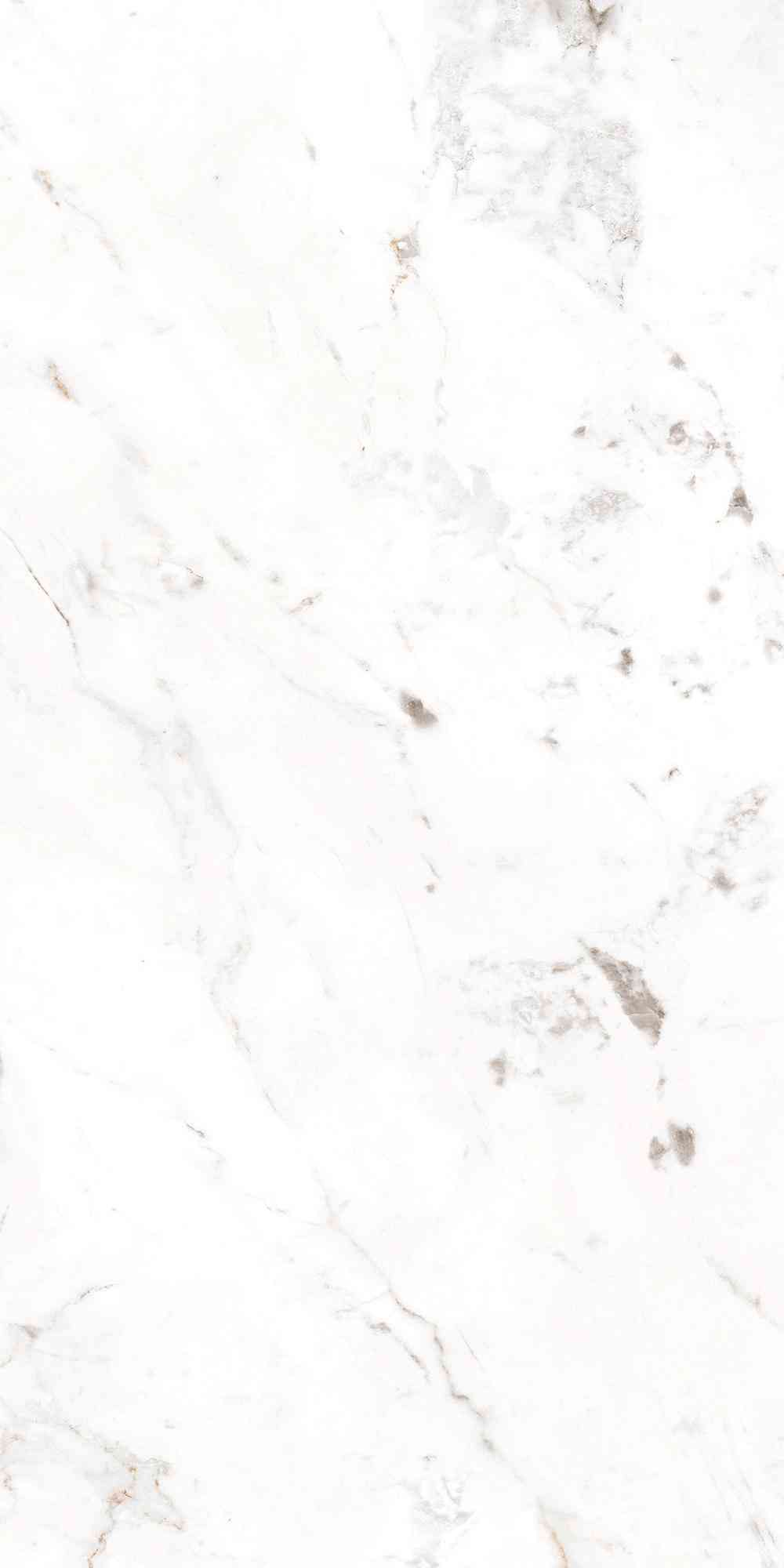 Base Carrara Blanco Liso |60x120