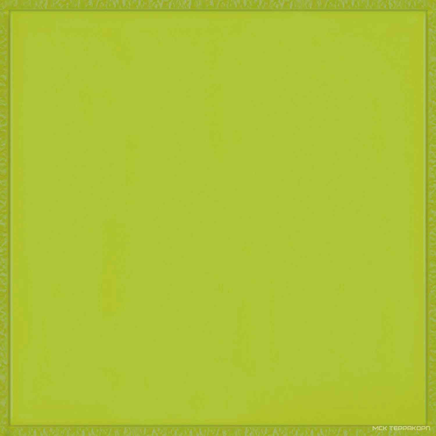Flexi 4 Logo Green Bri ZZ |30x30