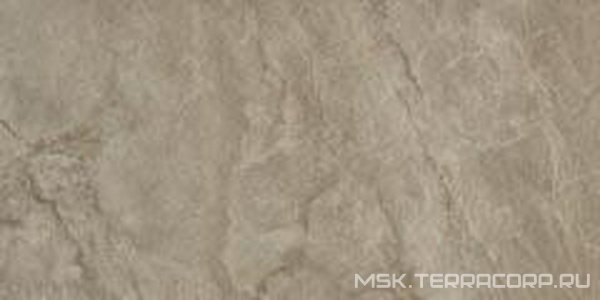 Керамогранит для пола и стены Imola Muse  12BG LP ZZ60x120 149462