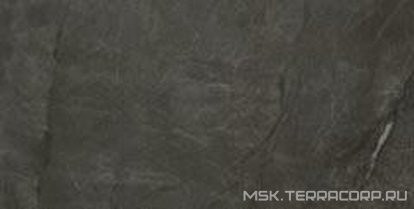 Керамогранит для пола и стены Imola Muse  12DG LP ZZ60x120 149463