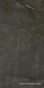 Керамогранит для пола и стены Imola Muse  12DG LP ZZ60x120 149463