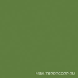 Грес YOUR COLOR 95 зеленый непол.ZZ |60x60