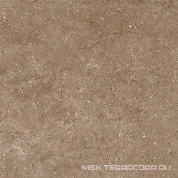 Arkaim Brown G214/Аркаим коричневый мат . 60x60
