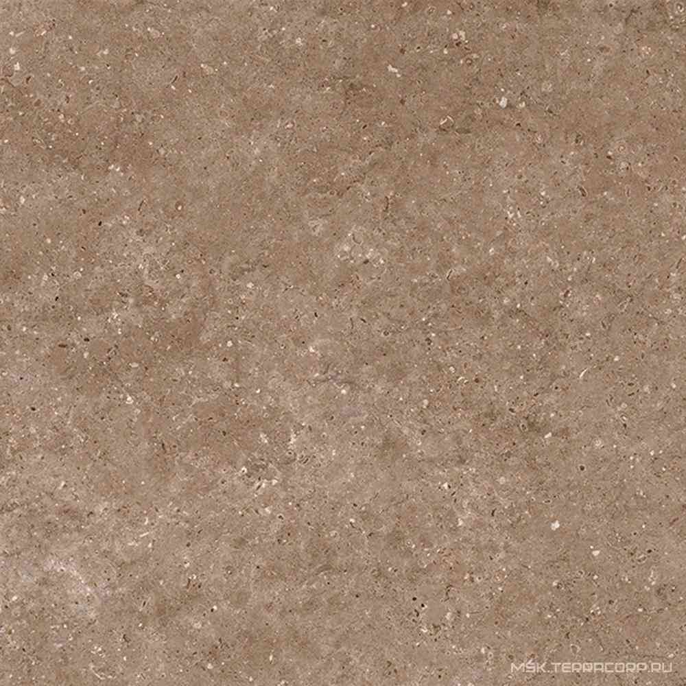 Arkaim Brown G214/Аркаим коричневый мат . 60x60