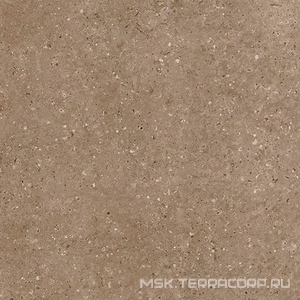 Керамогранит для пола Гранитея arkaim/аркаим Arkaim Brown G214/ коричневый мат . 60x60 Коричневый G214MR