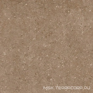 Керамогранит для пола Гранитея arkaim/аркаим Arkaim Brown G214/ коричневый мат . 60x60 Коричневый G214MR