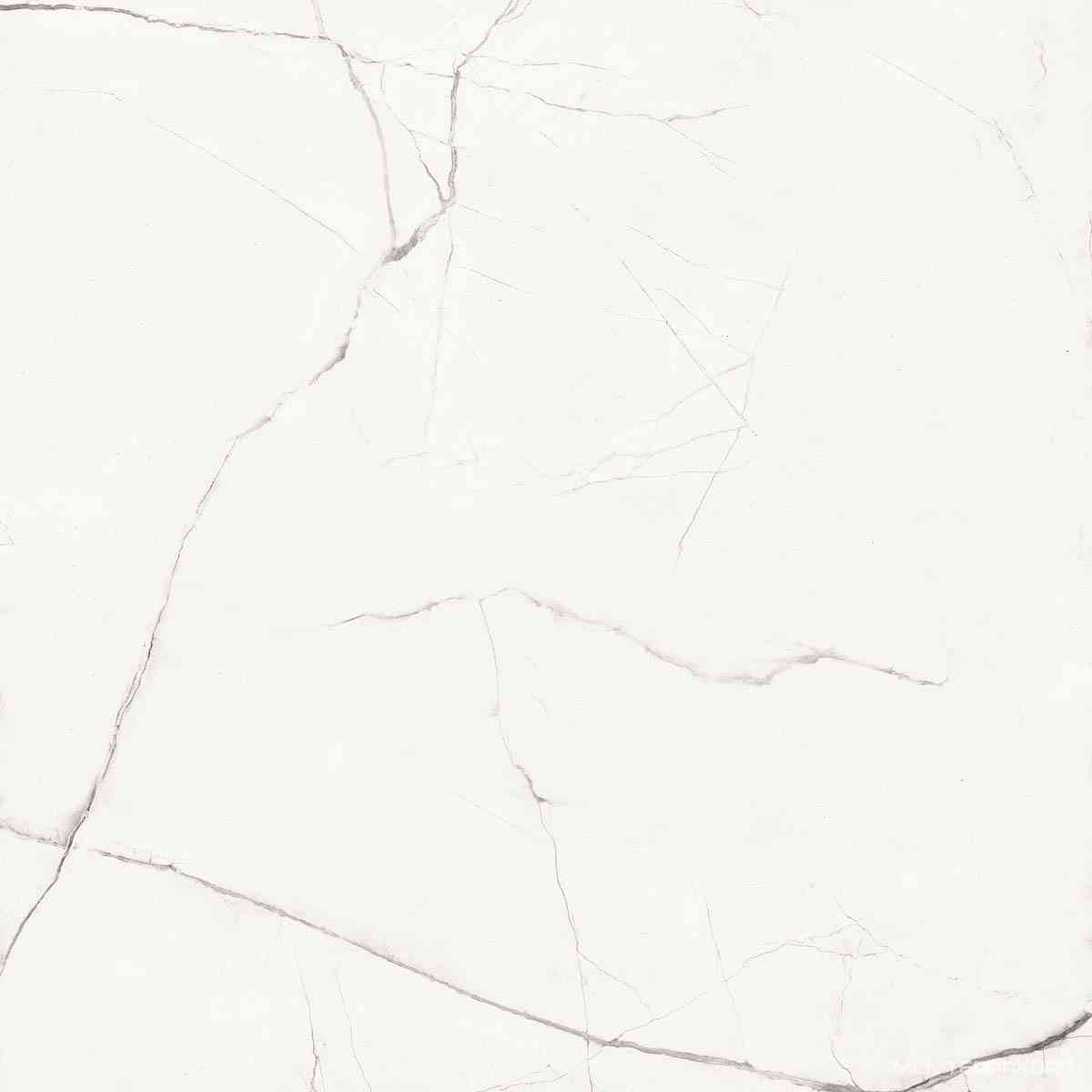 STA VP6 60 LP (п.п.)ZZ l60x60