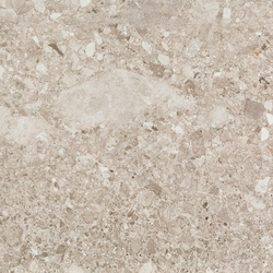 Frammenta Grigio Chiaro  outdoor/rett  (п.п.) ZZ|60,4x60,4