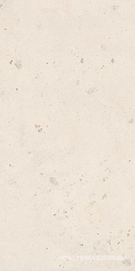 Керамогранит для пола и стены La Faenza Suite Stone SHELL6 12 60x120 200300