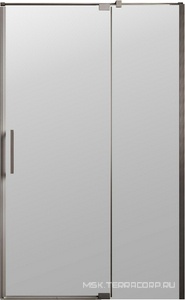Дверь для душа, в нишу 900-1000хh1950мм, распашн, 1 дверь, 1 неподв.секц, правая/левая, (ст.прозр.8мм Easy Clean, фурн.цв.воронен. сталь), Экстенза ZZ Vincea Экстенза (Extenza) VDP-4EX9010CLGM