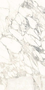 Керамогранит для пола и стены Ariostea Marmi Classici Arabescato Classico Luc 60x120 PL612513