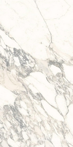 Керамогранит для пола и стены Ariostea Marmi Classici Arabescato Classico Luc 60x120 PL612513