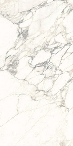 Керамогранит для пола и стены Ariostea Marmi Classici Arabescato Classico Luc 60x120 PL612513