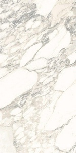 Керамогранит для пола и стены Ariostea Marmi Classici Arabescato Classico Luc 60x120 PL612513