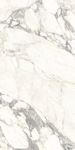 Керамогранит для пола и стены Ariostea Marmi Classici Arabescato Classico Luc 60x120 PL612513