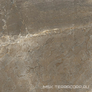 Керамогранит для пола La Faenza trex3 Trex 60TO LP (п.п.) 60x60 Коричневый 160993