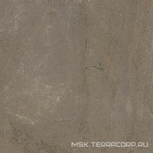 Керамогранит для пола La Faenza trex3 Trex 60TO LP (п.п.) 60x60 Коричневый 160993
