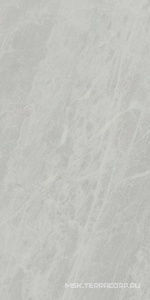 Керамогранит для пола и стены Ariostea Marmi Classici Gris De Savoie Soft 60x120 P612498
