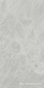 Керамогранит для пола и стены Ariostea Marmi Classici Gris De Savoie Soft 60x120 P612498