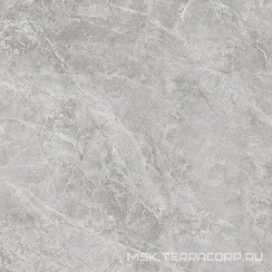 Керамогранит для пола Sant Agostino themar Grigio Savoia Kry 89x89 Серый CSAGRSAK89