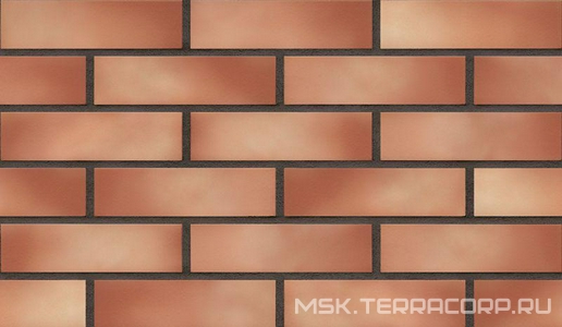 Клинкерная плитка SLONECZNY BRZEG (09) KL  |6,5x25 King Klinker Dream House EP.65/09/1