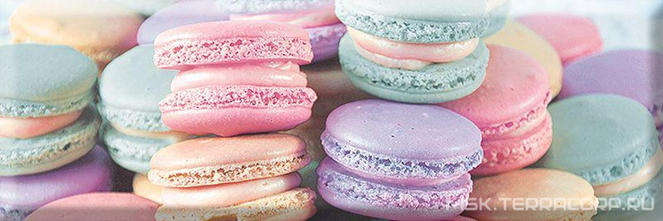 Декор Absolut Keramika Monocolor 10x30 Decor Cookies 03 10x30 AK0809