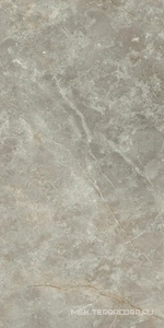 Керамогранит для пола и стены Ariostea Marmi Classici Fior di Bosco luc 60x120 PL612574